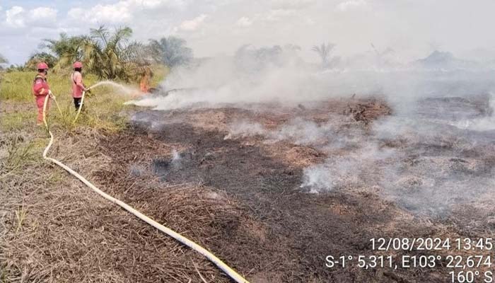 Lahan Dekat Pipa Gas Petrochina Terbakar, Pemadaman Terkendala Angin